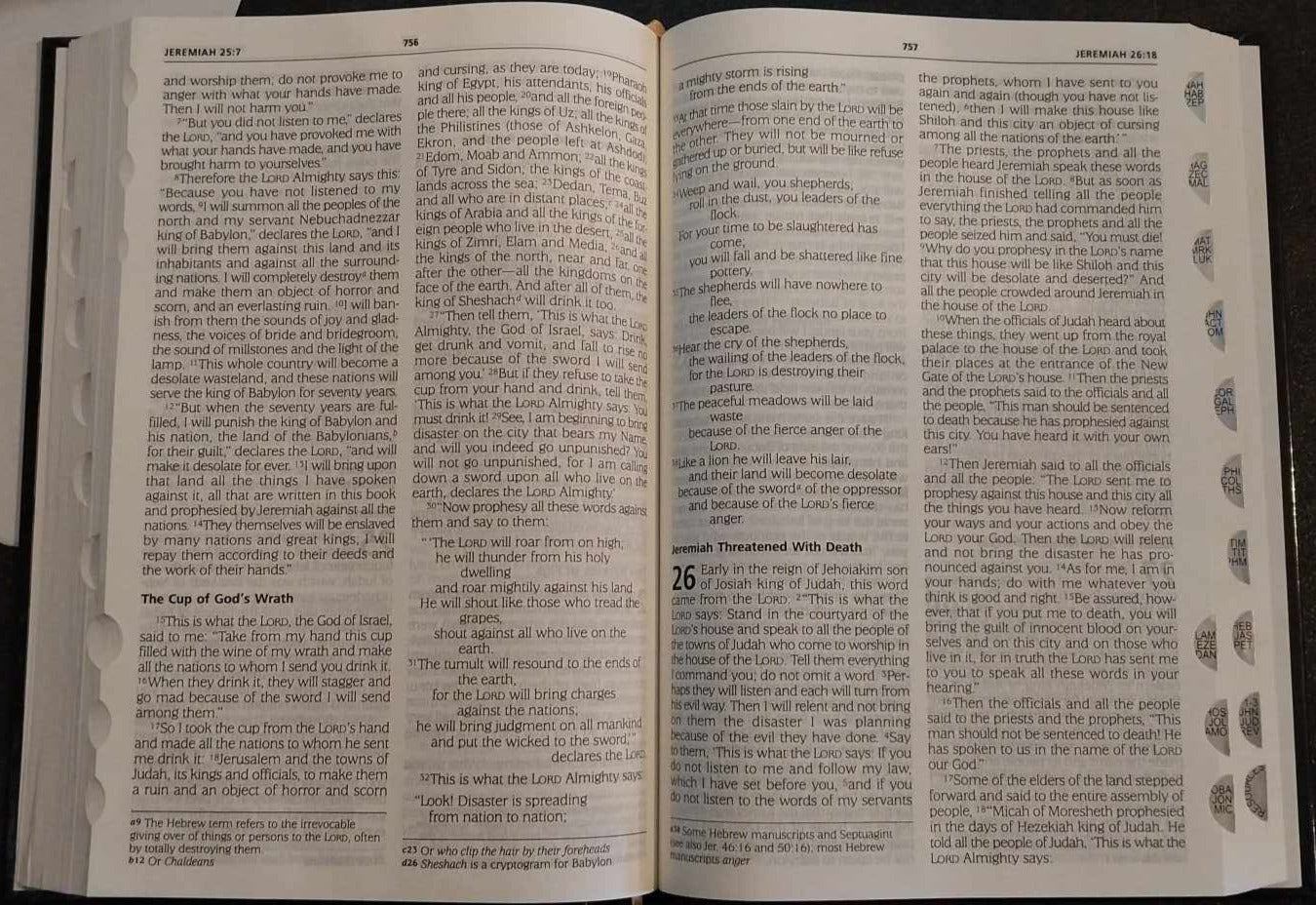 NIV Holy Bible, Large Print image 1