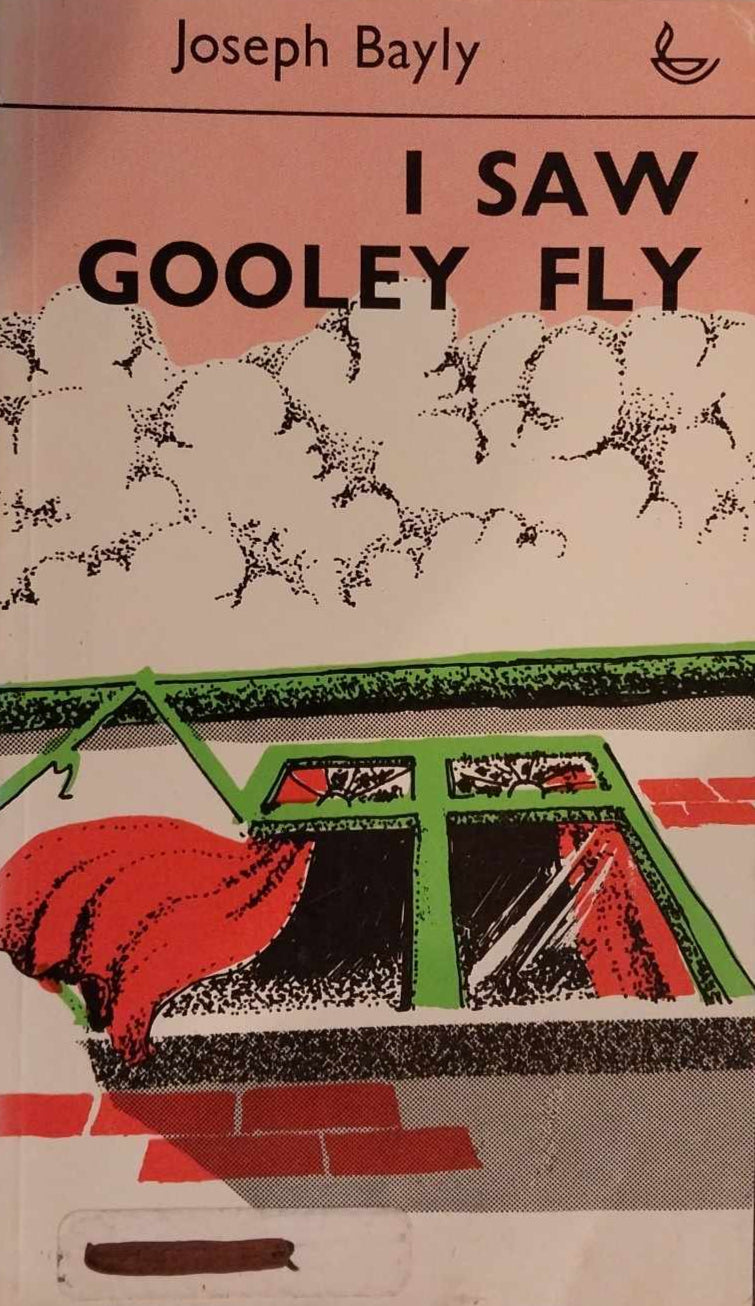 I Saw Gooley Fly by Joseph Bayly image 0