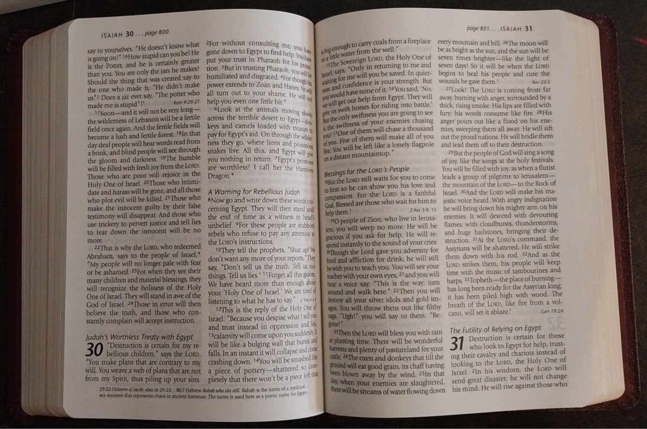 NLT Holy Bible, Large Print, Red Letter Edition, Burgundy Bonded Leather image 2