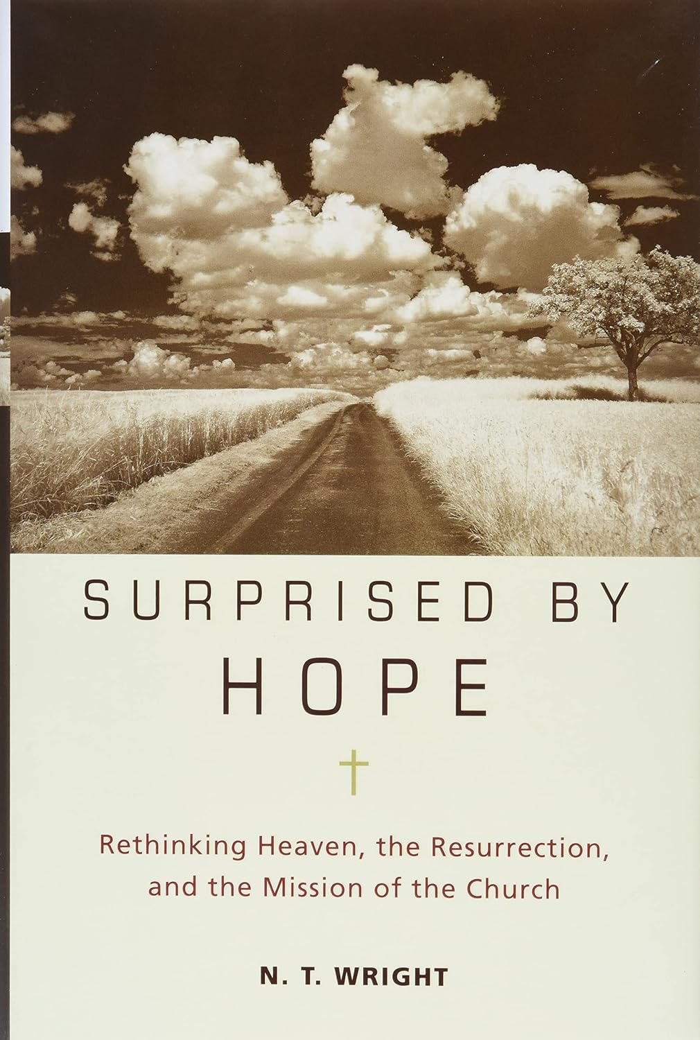 Surprised by Hope by N. T. Wright image 1