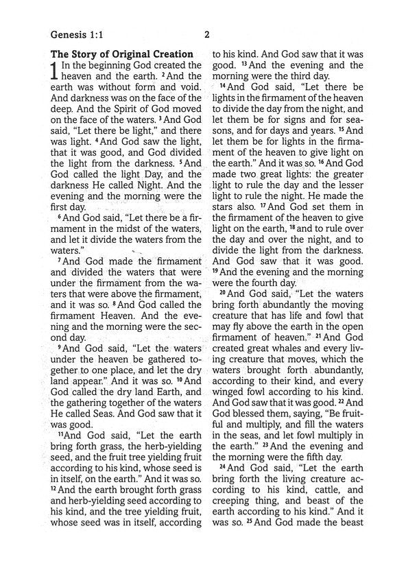 Simplified KJV Barbour Simplified Bible, Large Print--soft leather-look, rust & stone cross,Thumb-Indexed