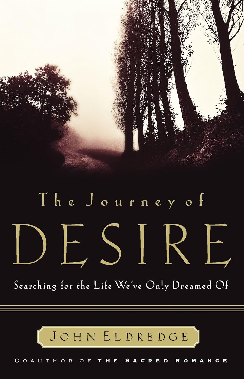Journey of Desire by John Eldredge image 0