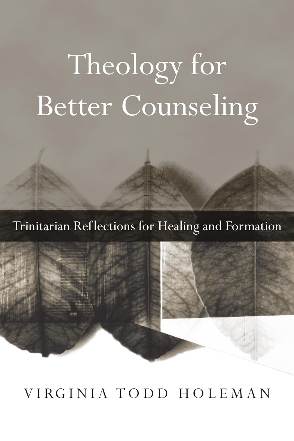 Theology for Better Counseling by Virginia Todd Holeman image 0