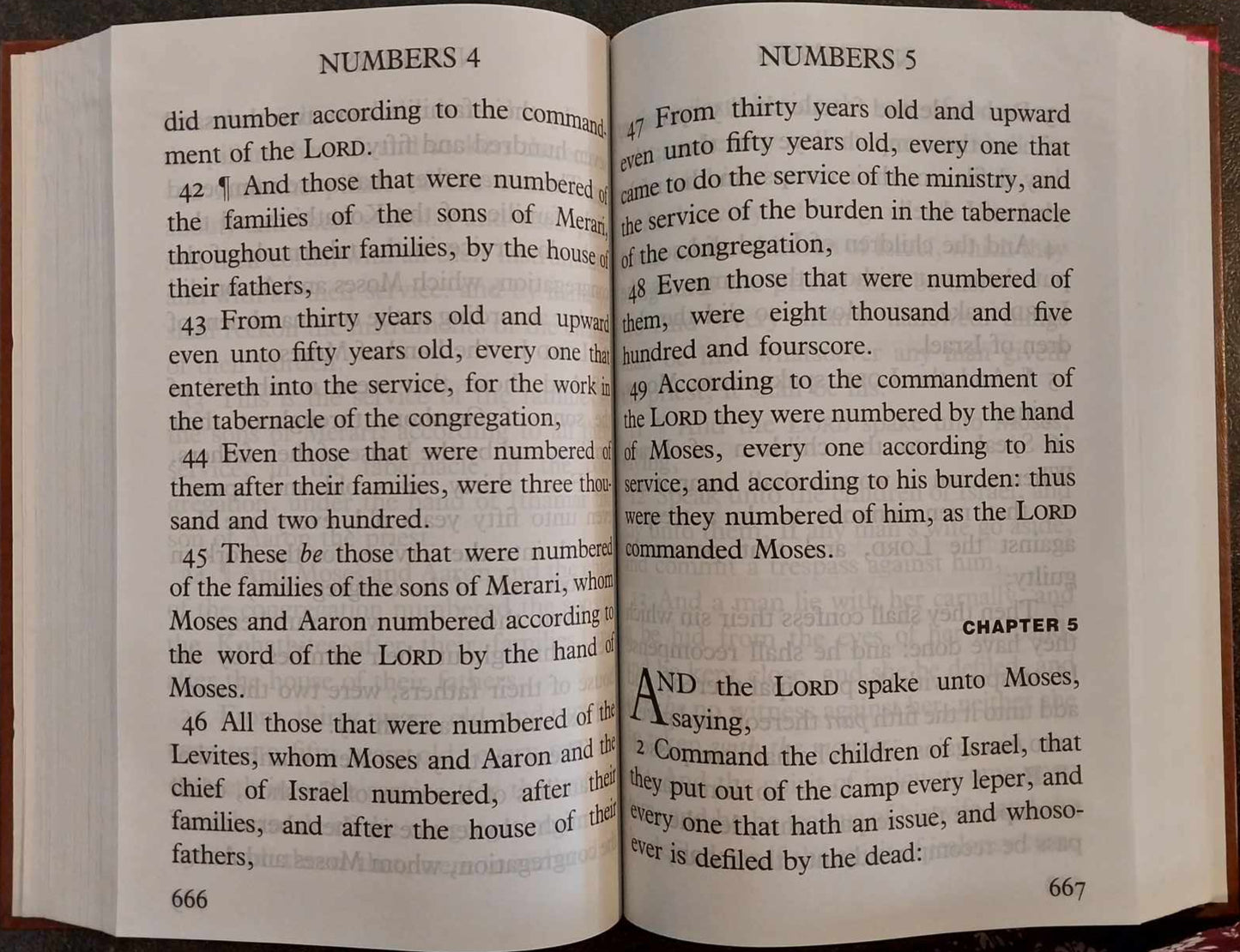 KJV Holy Bible, Giant Print Edition, in 4 Volumes image 2