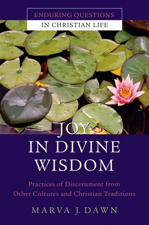 Joy In Divine Wisdom by Marva J. Dawn image 0