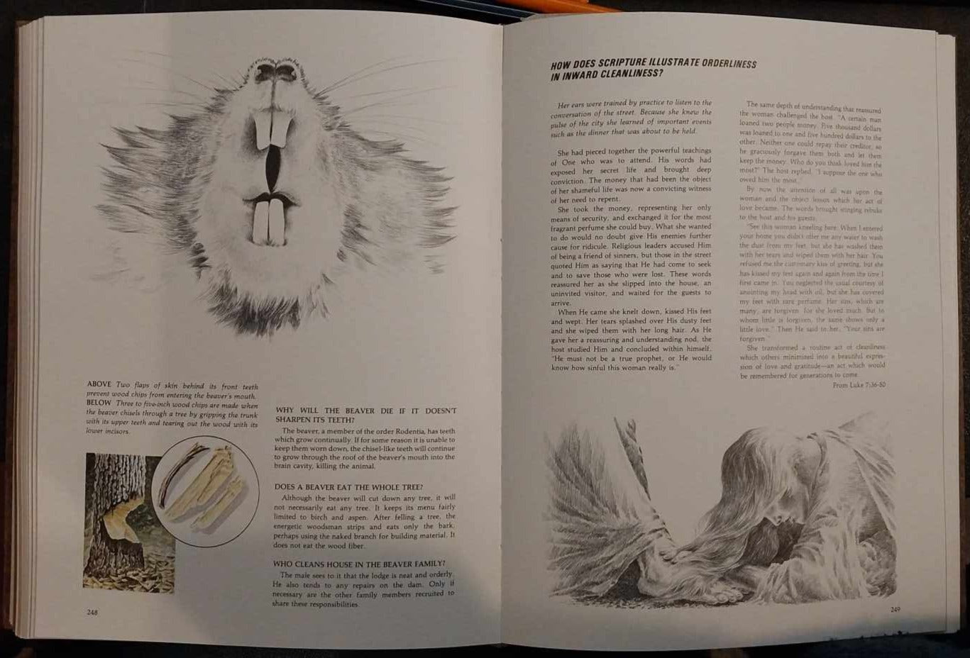 Character Sketches: From the Pages of Scripture, 3 Volume Set image 2