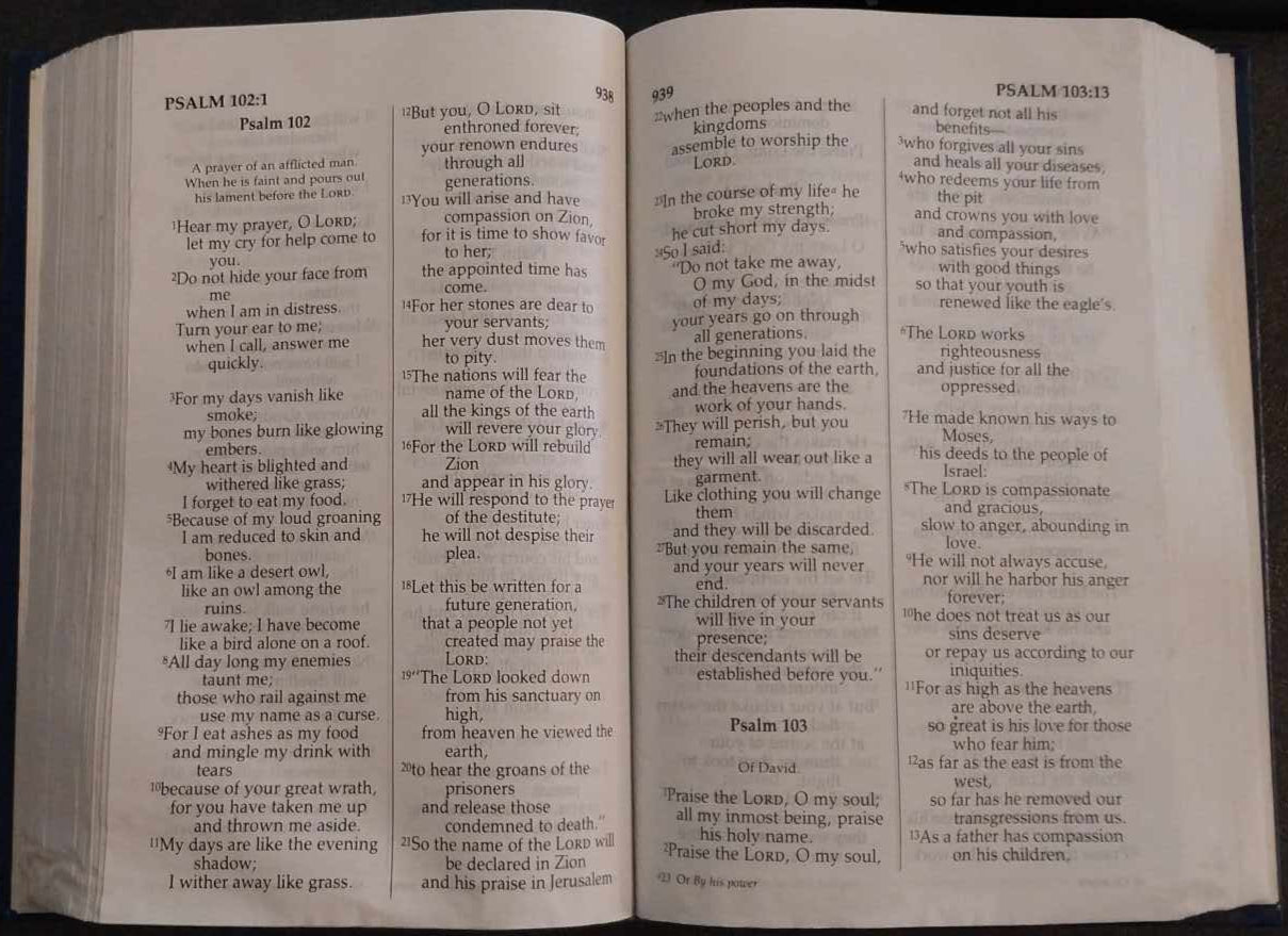 1984 NIV Holy Bible, Large Print image 1