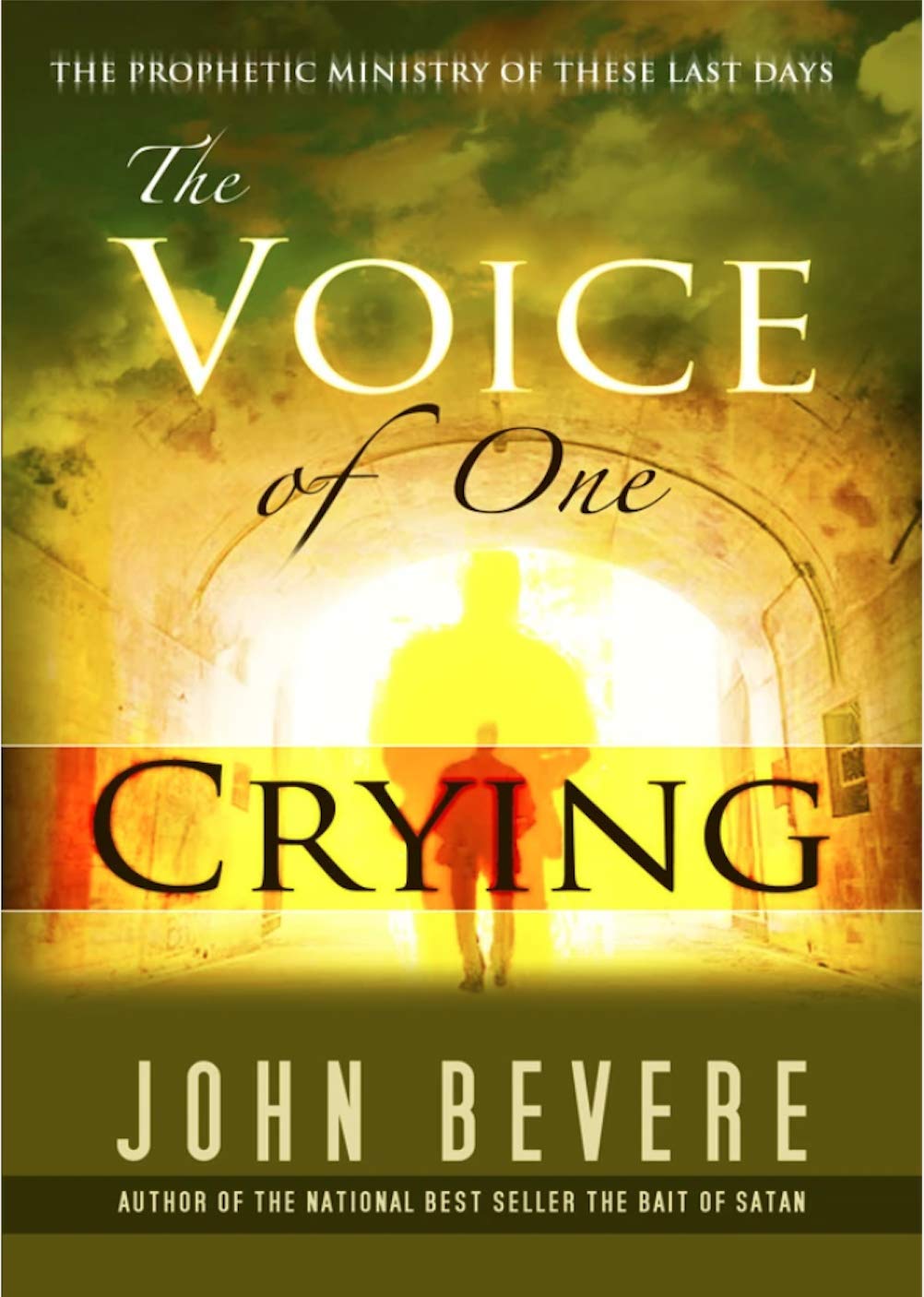 Voice of One Crying by John Bevere image 1