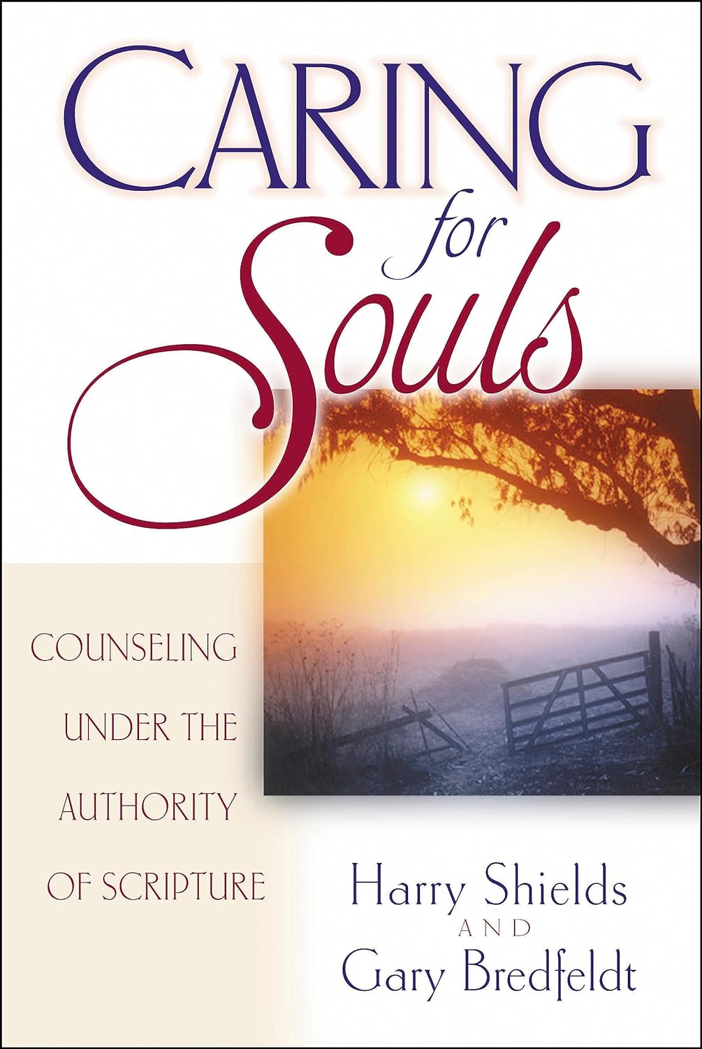Caring For Souls by Harry Shields and Gary Bredfeldt image 0
