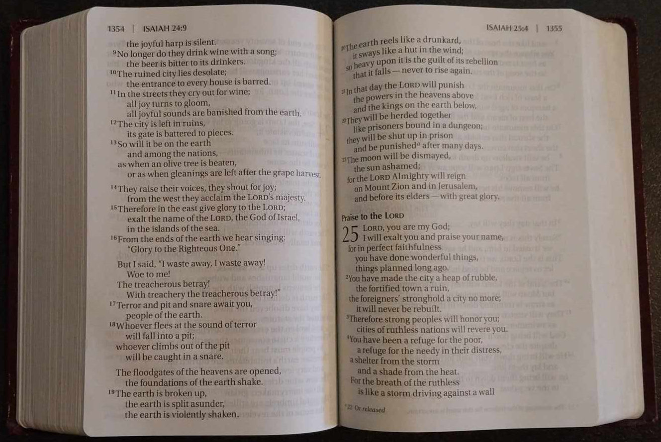 NIV Giant Print Compact Bible image 1