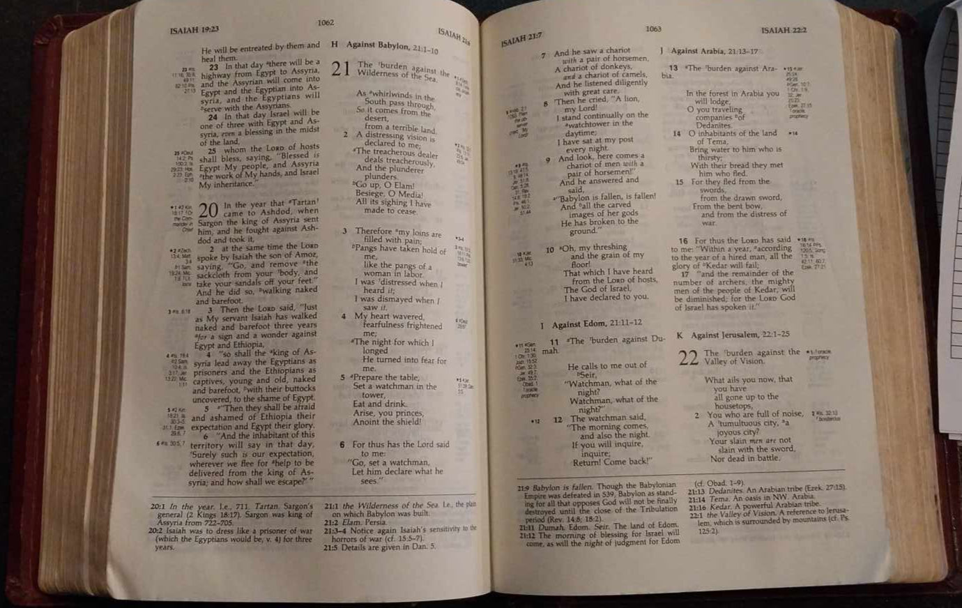 NKJV Ryrie Study Bible image 1