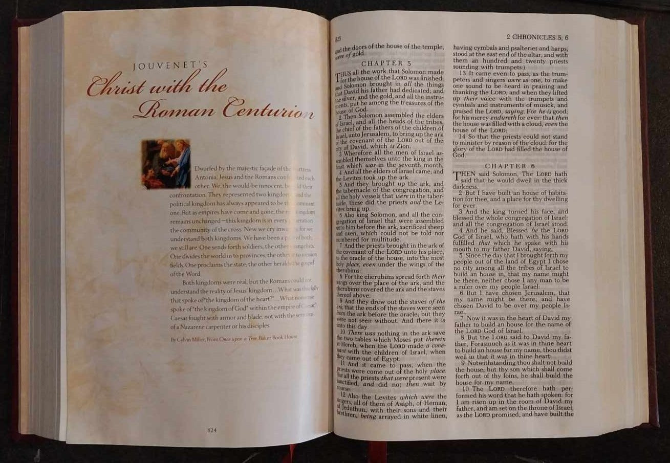 KJV Celebrate Jesus! Millennium Bible image 1