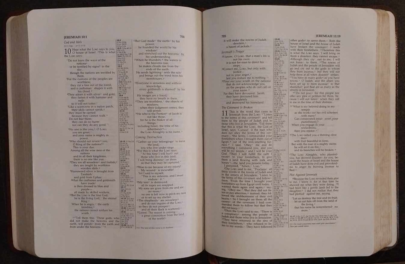 NIV Holy Bible, Reference Edition image 1