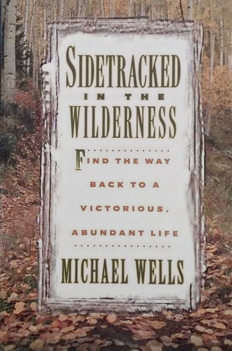 Sidetracked in the Wilderness by Michael Wells image 0