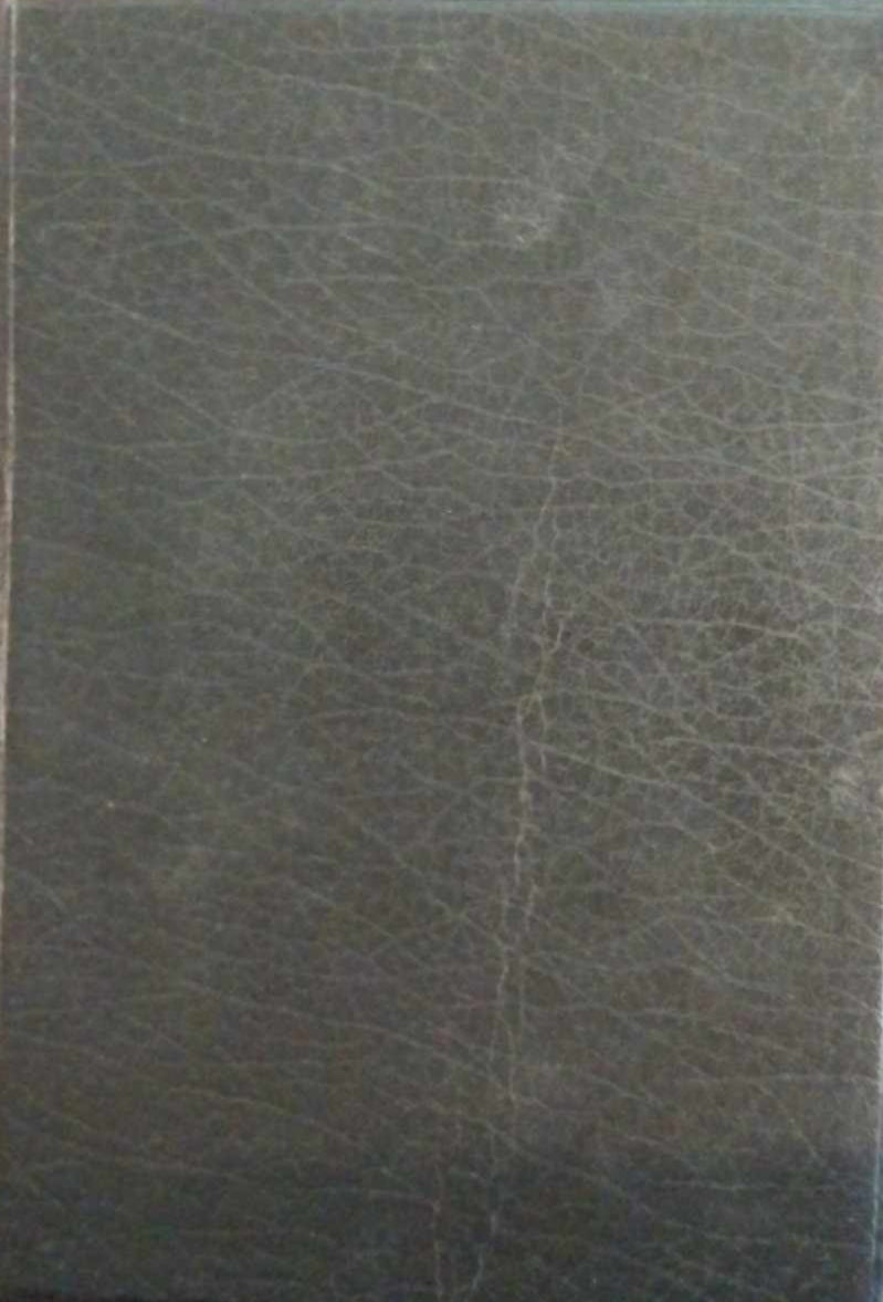 NASB Wide Margin Reference Bible image 1