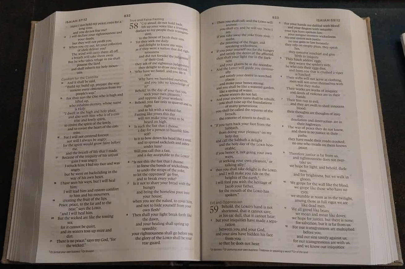 ESV Men's Devotional Bible image 1