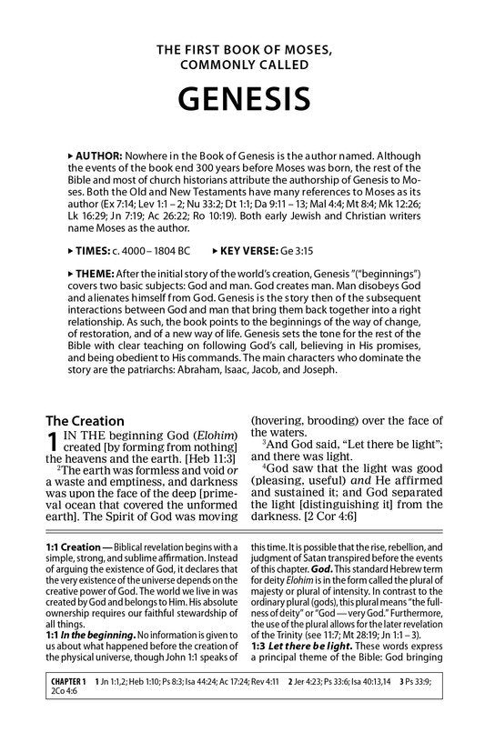 Amplified Study Bible, Large Print, Brown Imitation Leather