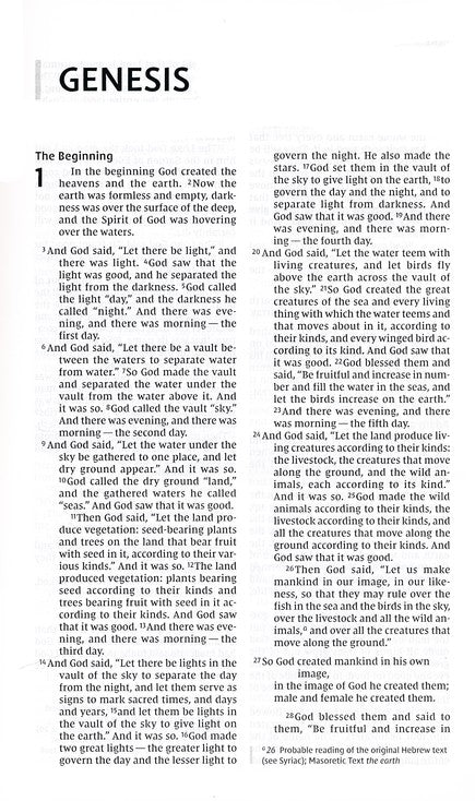 NIV Value Thinline Bible Gray and Black, Imitation Leather