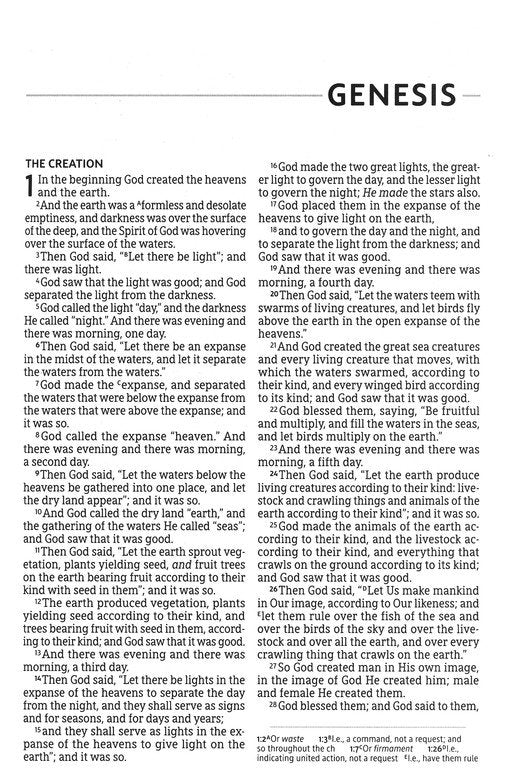 NASB 2020 Large-Print Thinline Bible, Comfort Print, soft leather-look, black