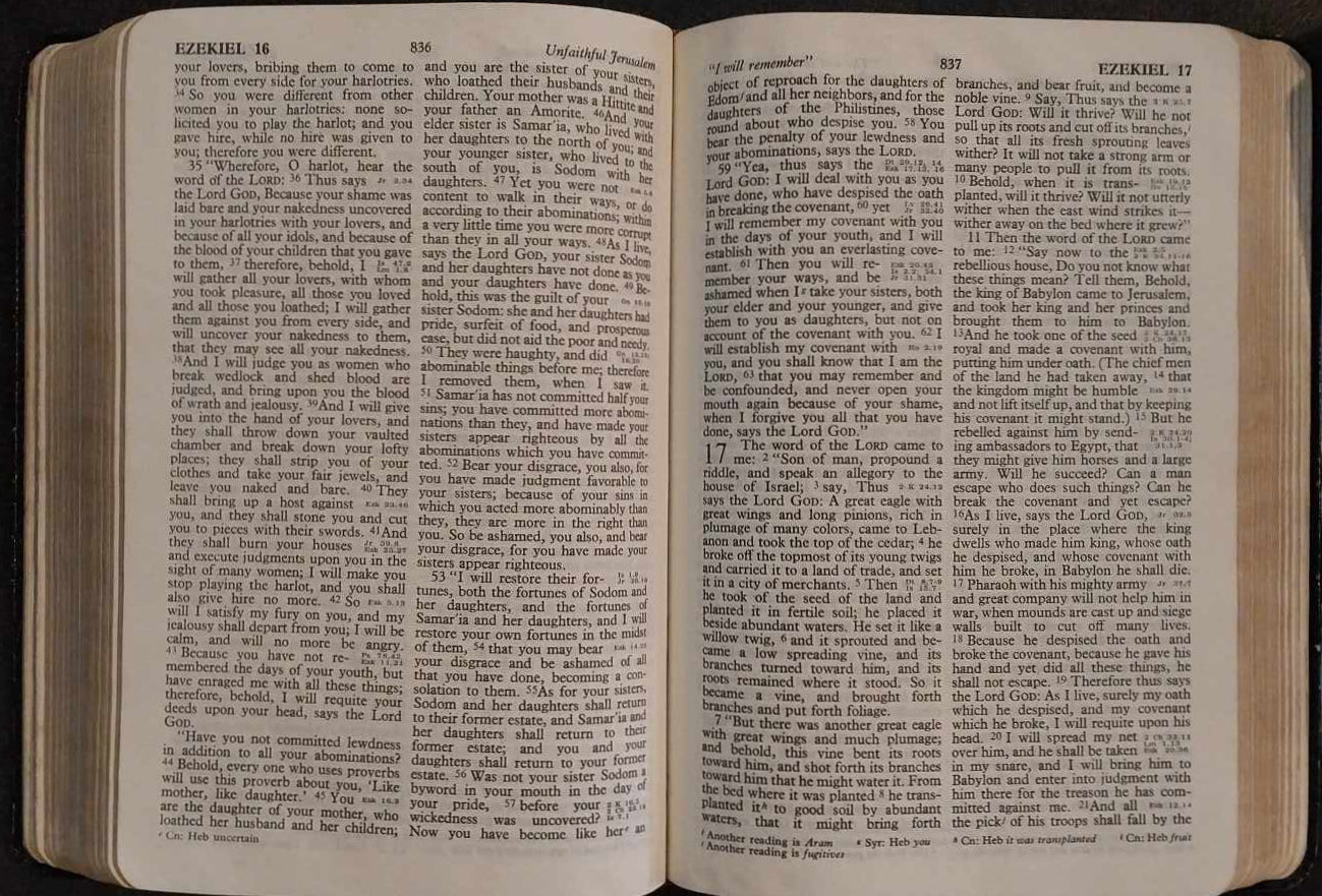 RSV Holy Bible, Black Softcover image 1