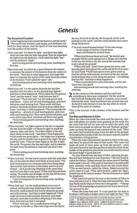 NLT Holy Bible Economy Outreach Edition softcover