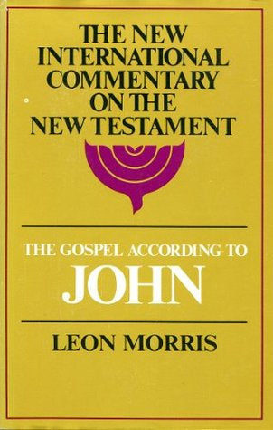 John (NICNT) by Leon Morris image 1