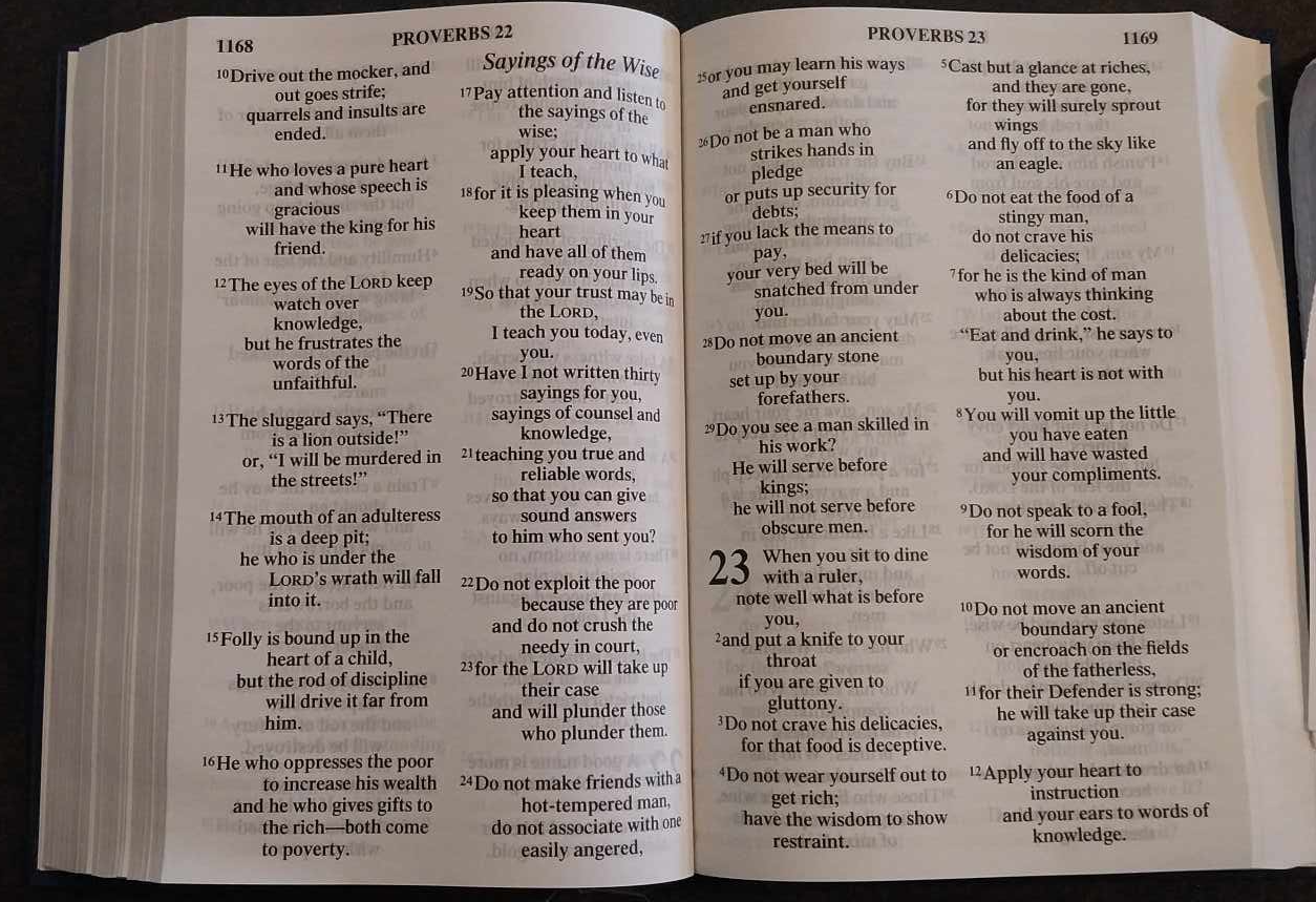 NIV Holy Bible Large Print, 1984 NIV image 1