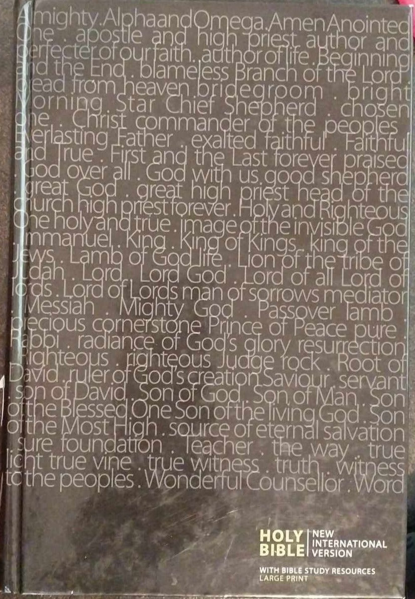 NIV Holy Bible, Large Print image 0