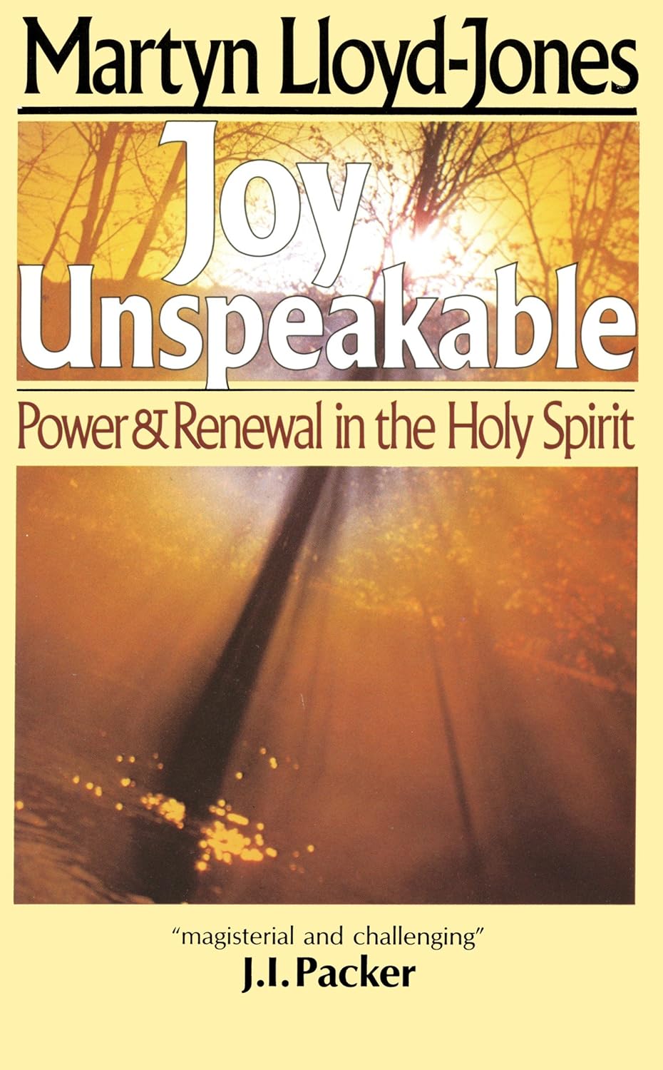 Joy Unspeakable: Power and Renewal in the Holy Spirit by Martyn Lloyd-Jones image 2