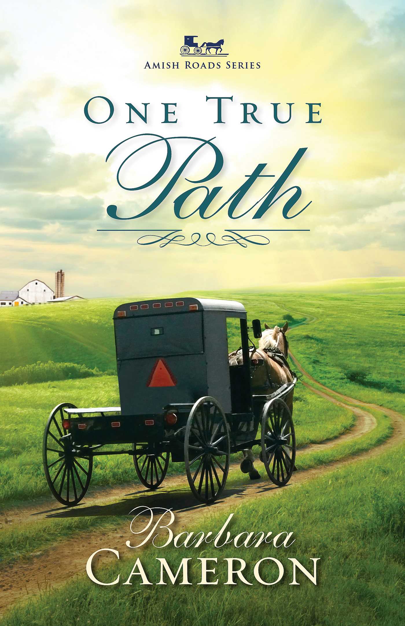 One True Path by Barbara Cameron image 0