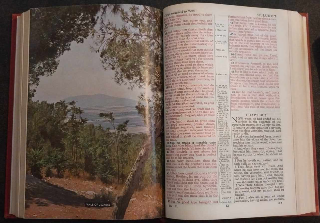 KJV Holy Bible Illustrated Teacher's Edition image 1