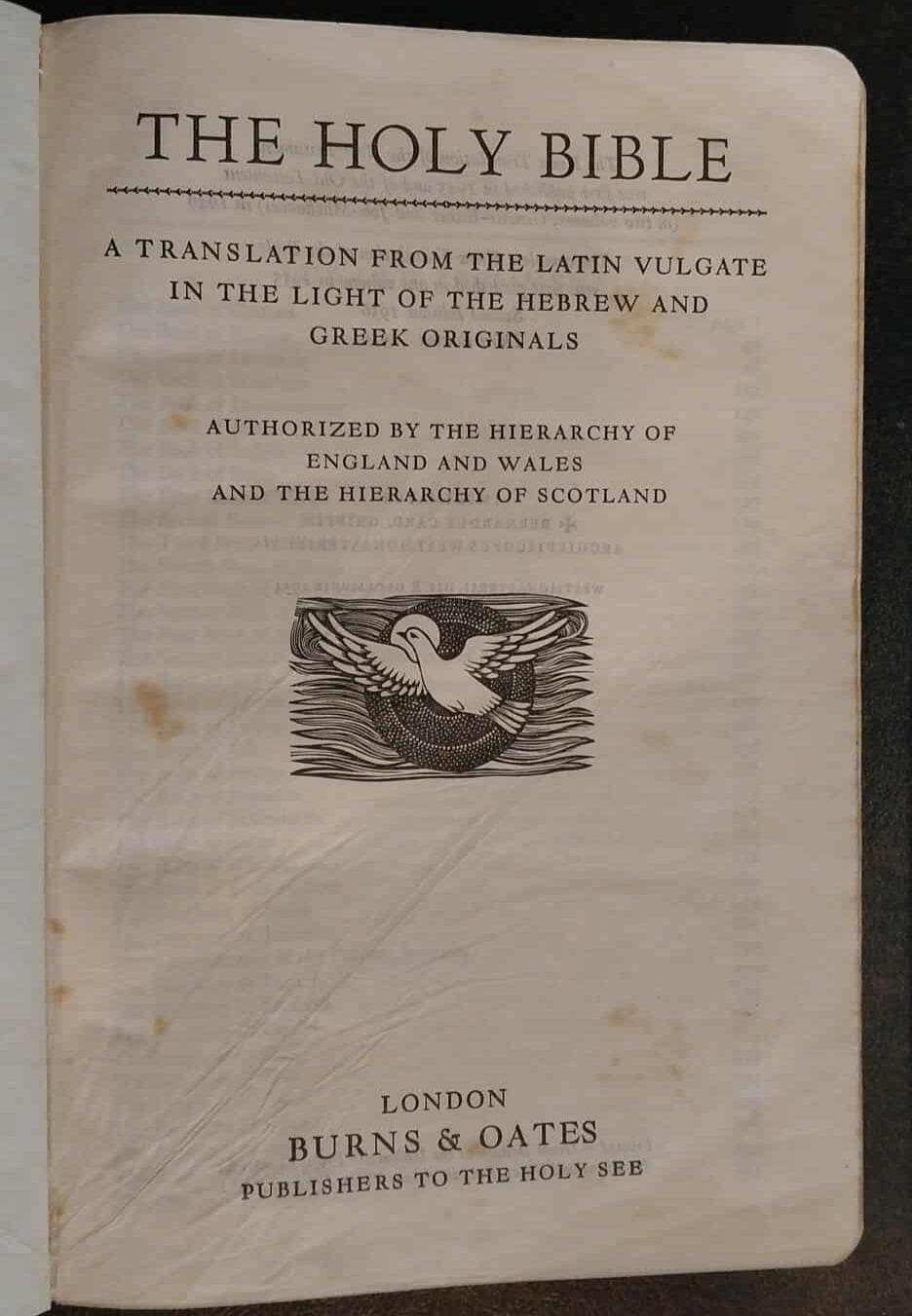Holy Bible: Translation from the Latin Vulgate image 1