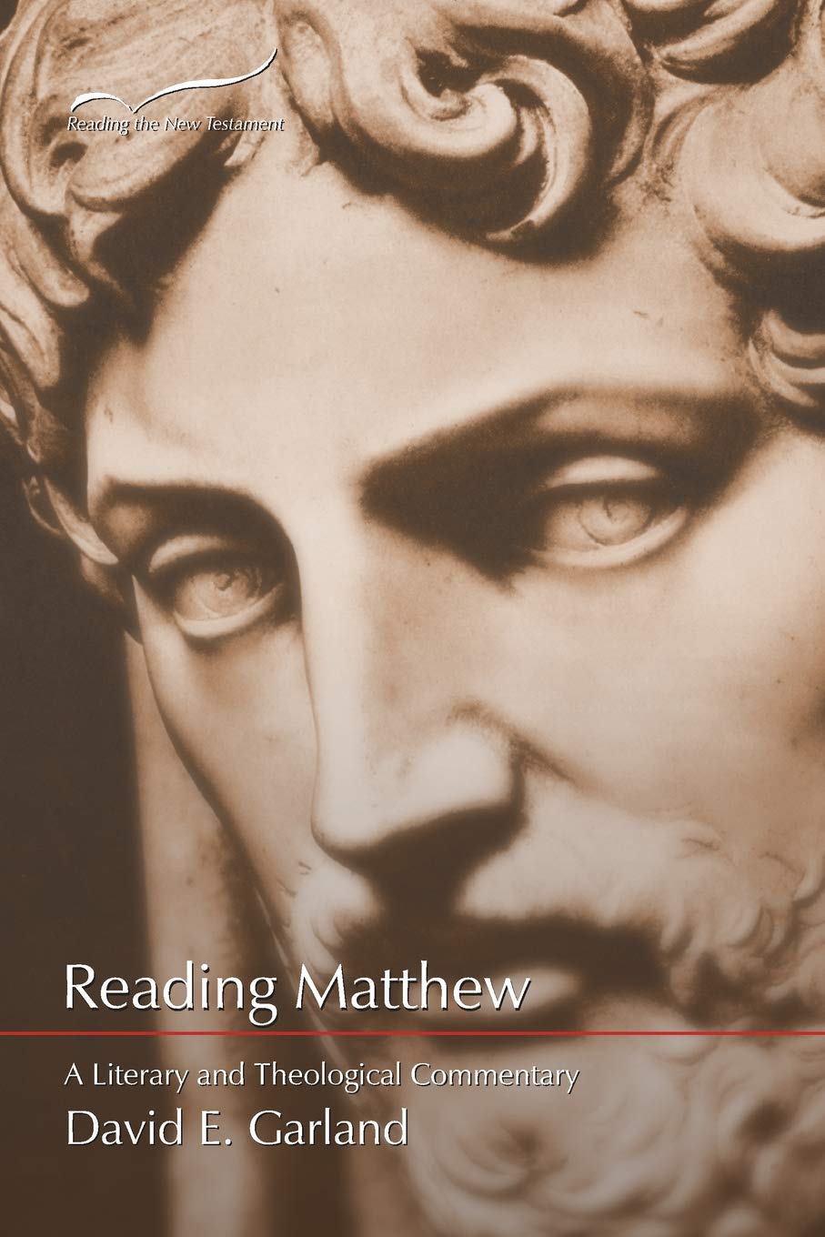 Reading Matthew: A Literary and Theological Commentary by David E. Garland