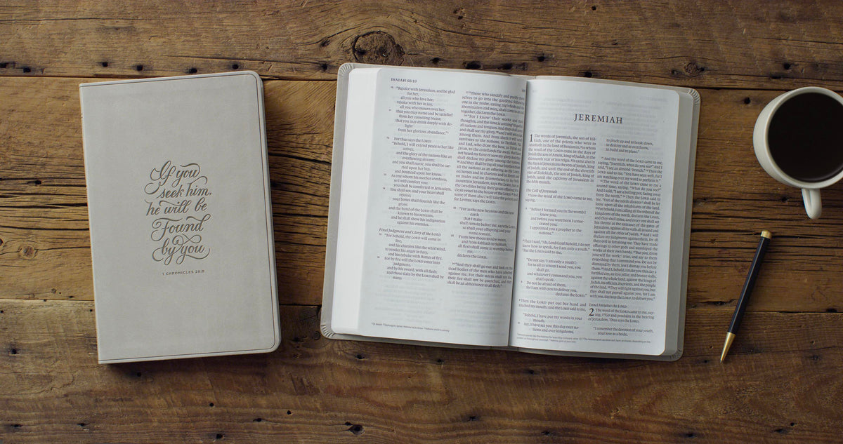 ESV Large Print Value Thinline Bible--soft leather-look, stone with 1 Chronicles 28:9 design