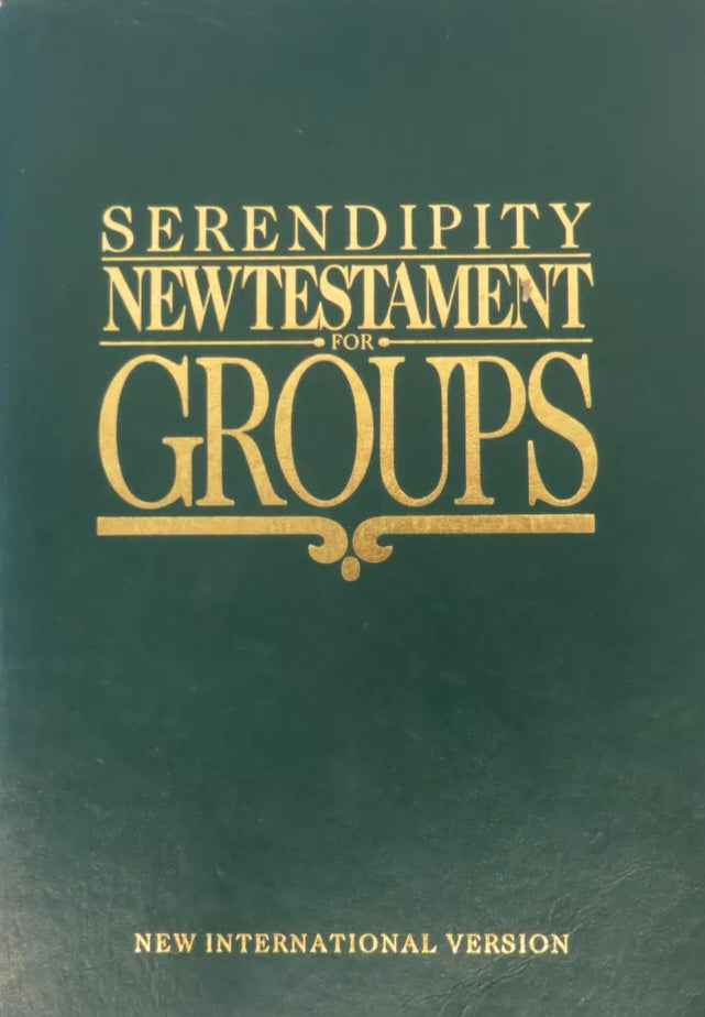 NIV Serendipity New Testament For Groups image 0
