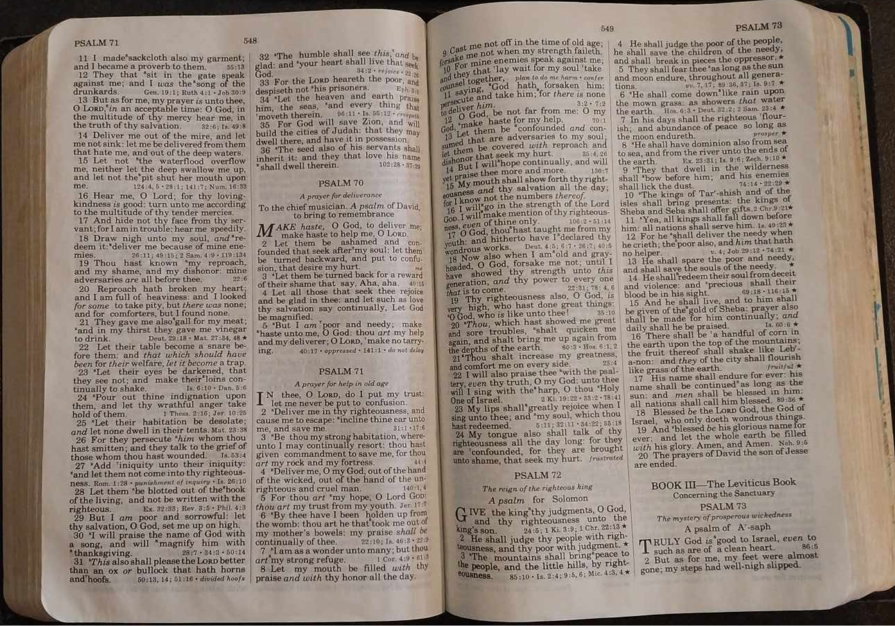 KJV Open Bible image 1