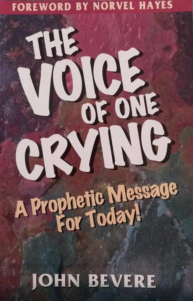Voice of One Crying by John Bevere image 0