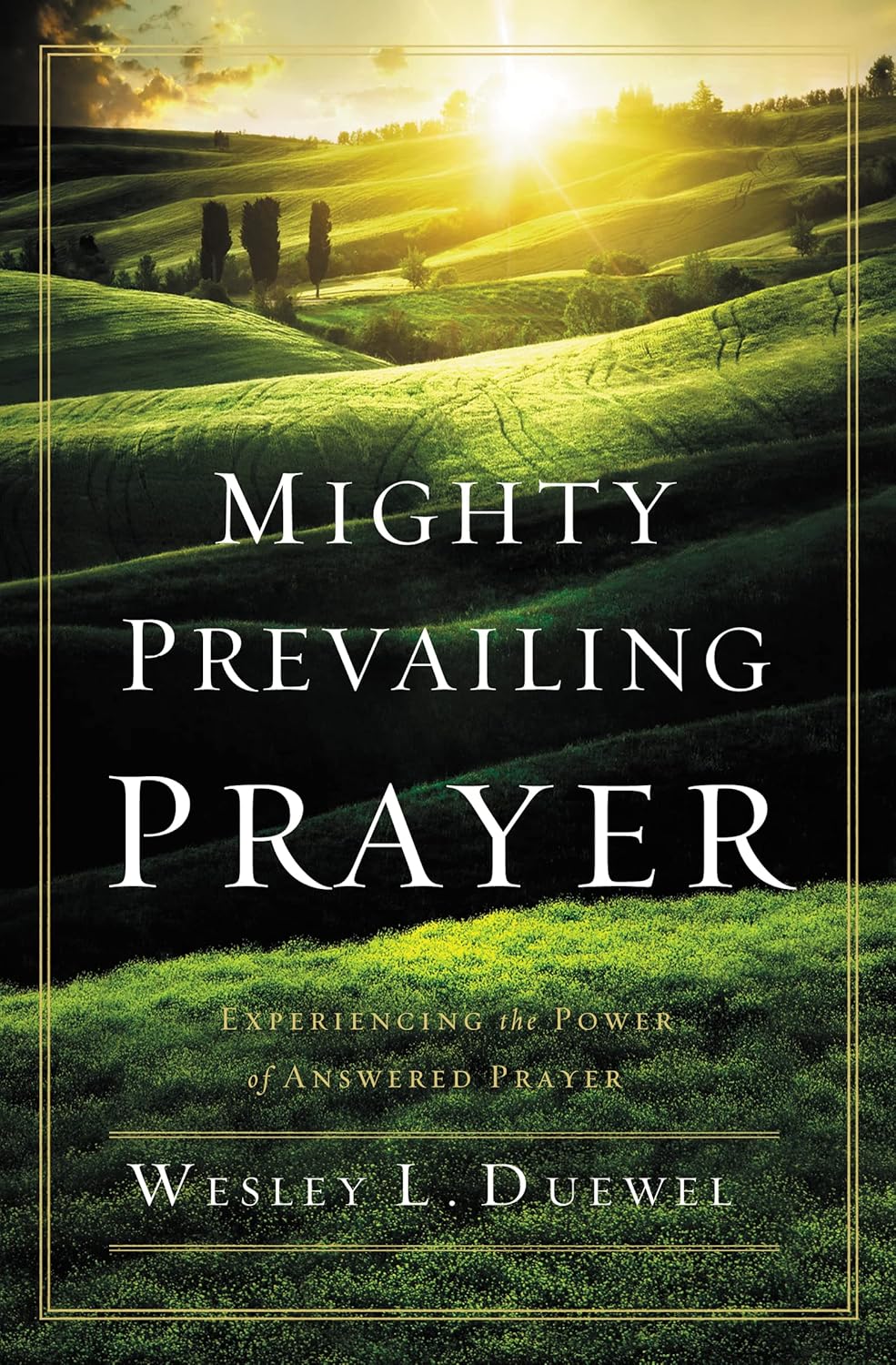 Mighty Prevailing Prayer by Wesley L. Duewel image 0
