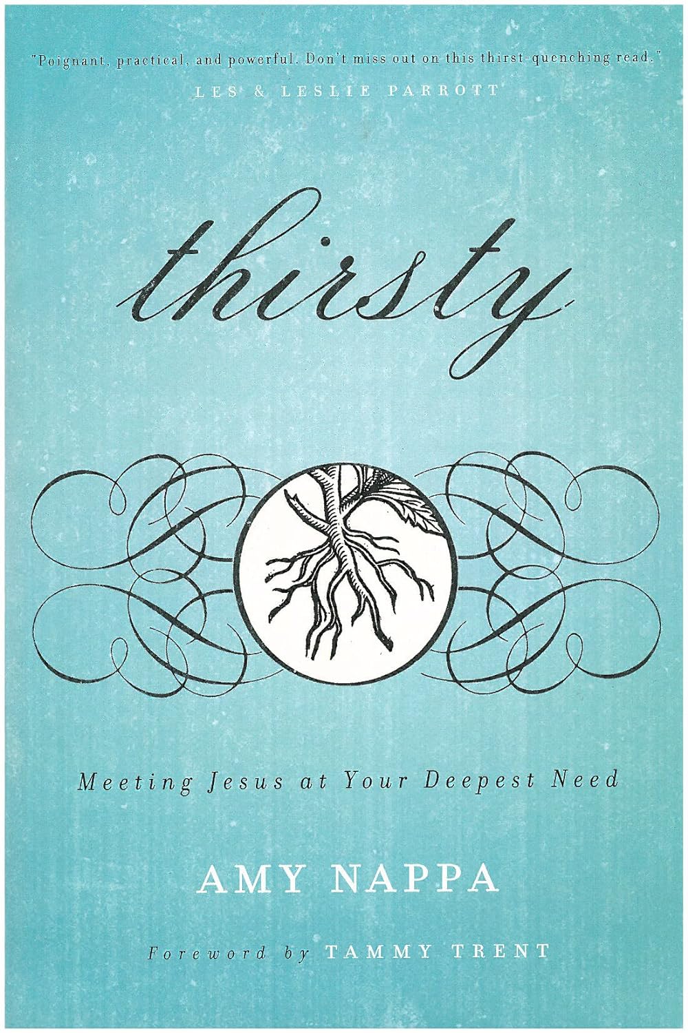 Thirsty: Meeting Jesus at Your Deepest Need by Amy Nappa image 0