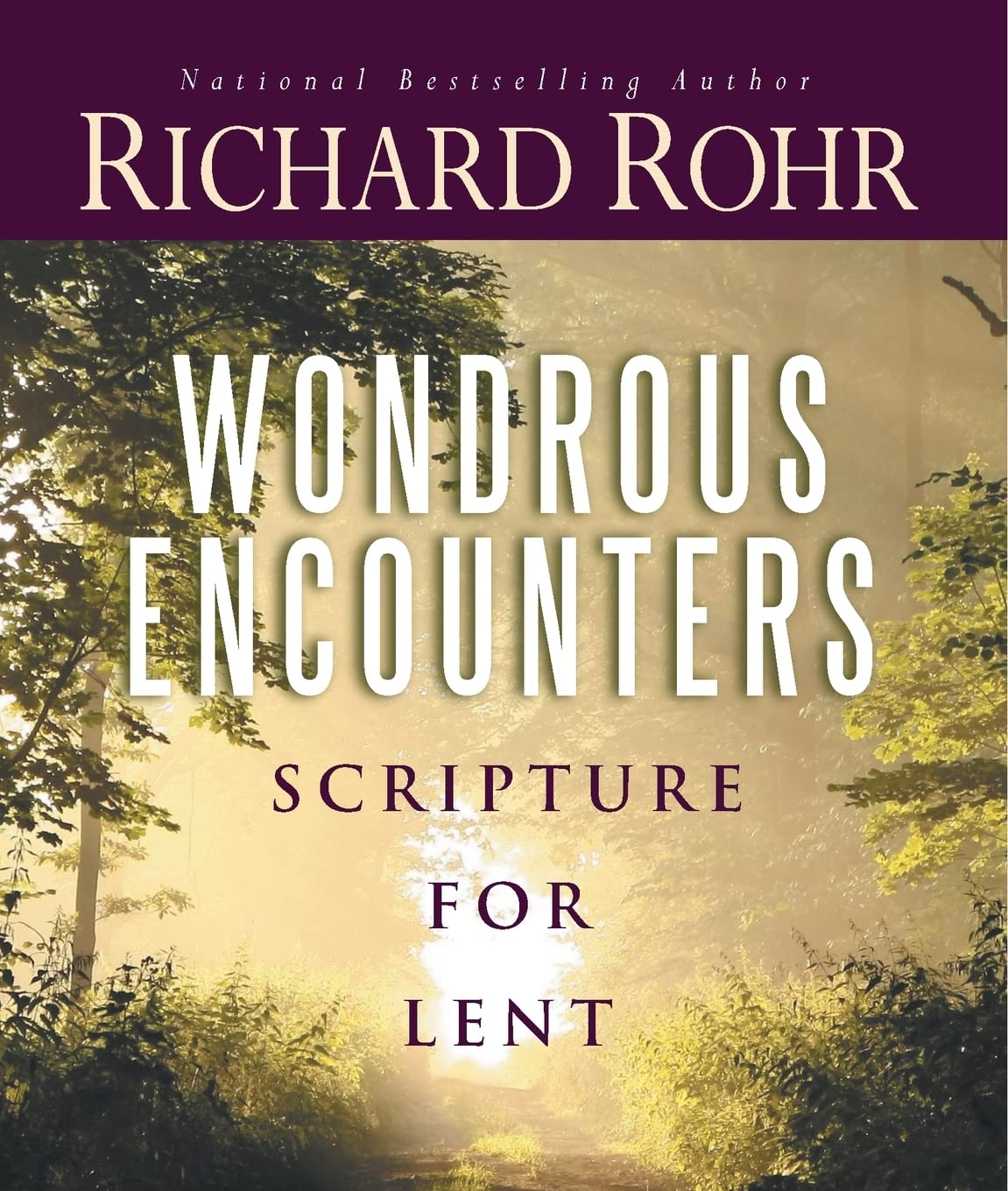 Wondrous Encounters: Scripture for Lent by Richard Rohr