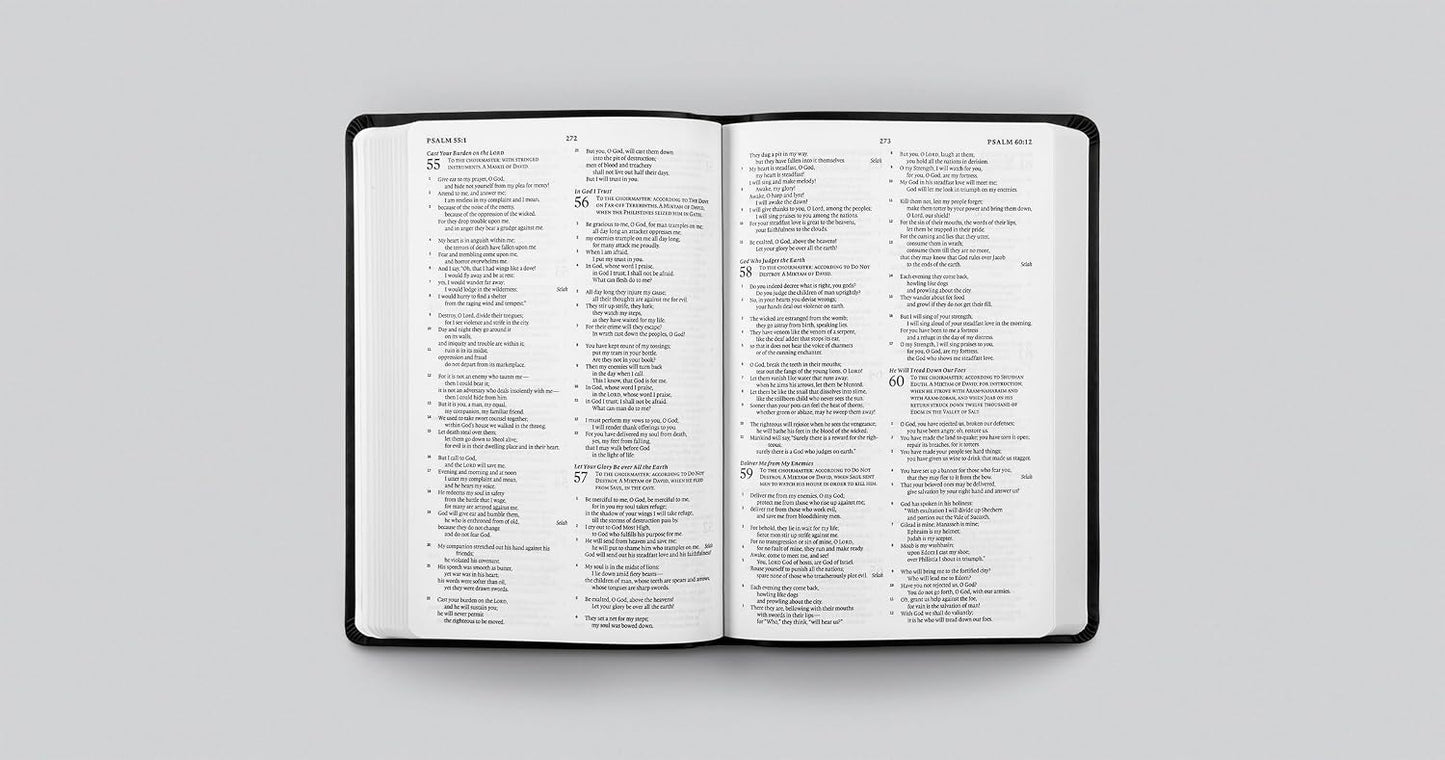 ESV Gift and Award Bible, TruTone Black