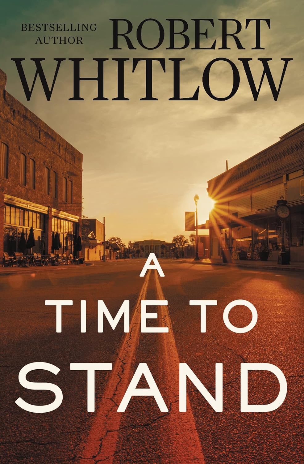A Time To Stand by Robert Whitlow