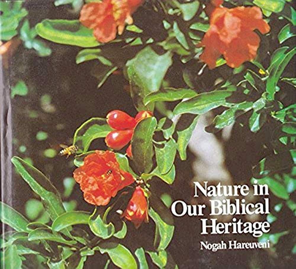Nature in our Biblical Heritage by Nogah Hareuveni image 0