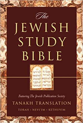 Jewish Study Bible: featuring The Jewish Publication Society TANAKH Translation image 0