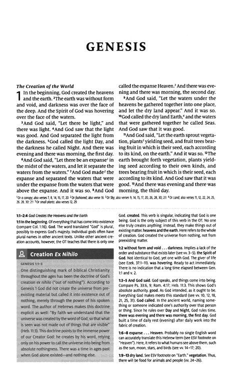ESV Teen Study Bible (TruTone, Slate/Umber)