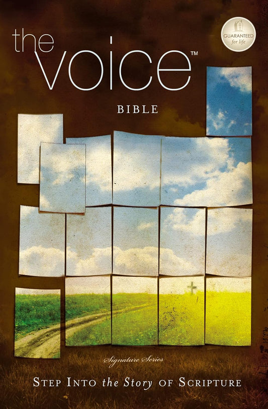 The Voice Bible: Step Into The Story of Scripture image 0