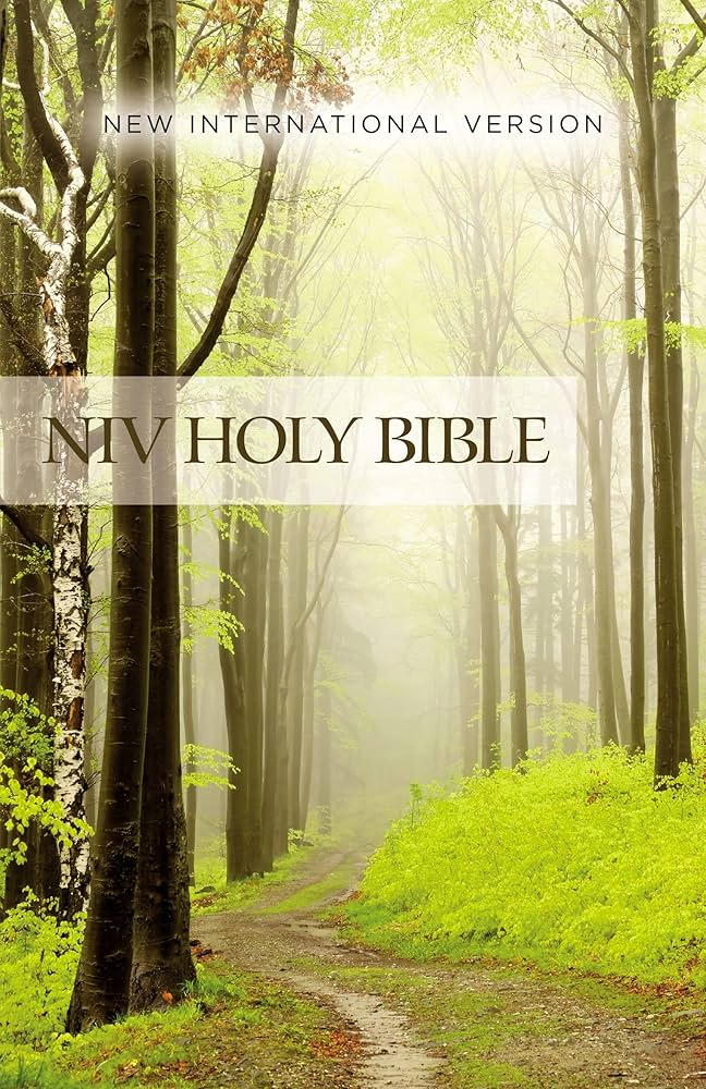 NIV Value Outreach Bible softcover, green forest path