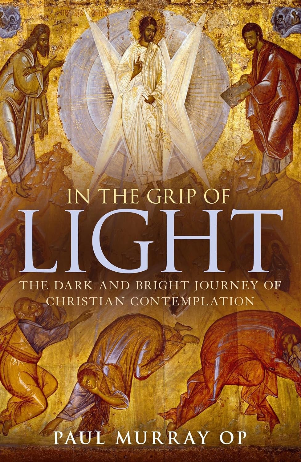 In the Grip of Light by Paul Murray