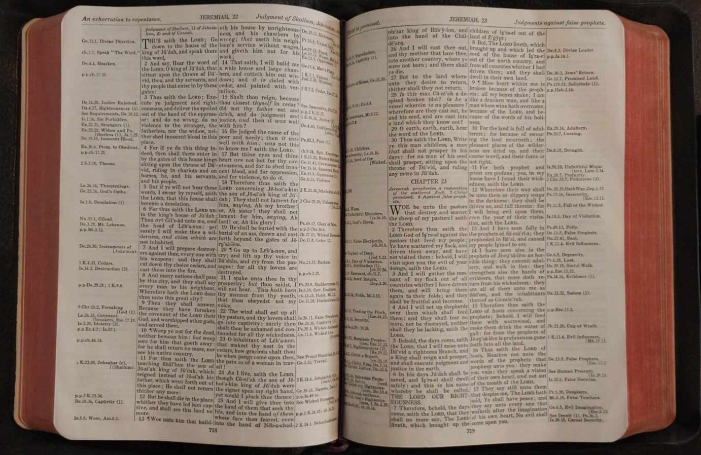 KJV New Thompson Chain-Reference Bible image 1