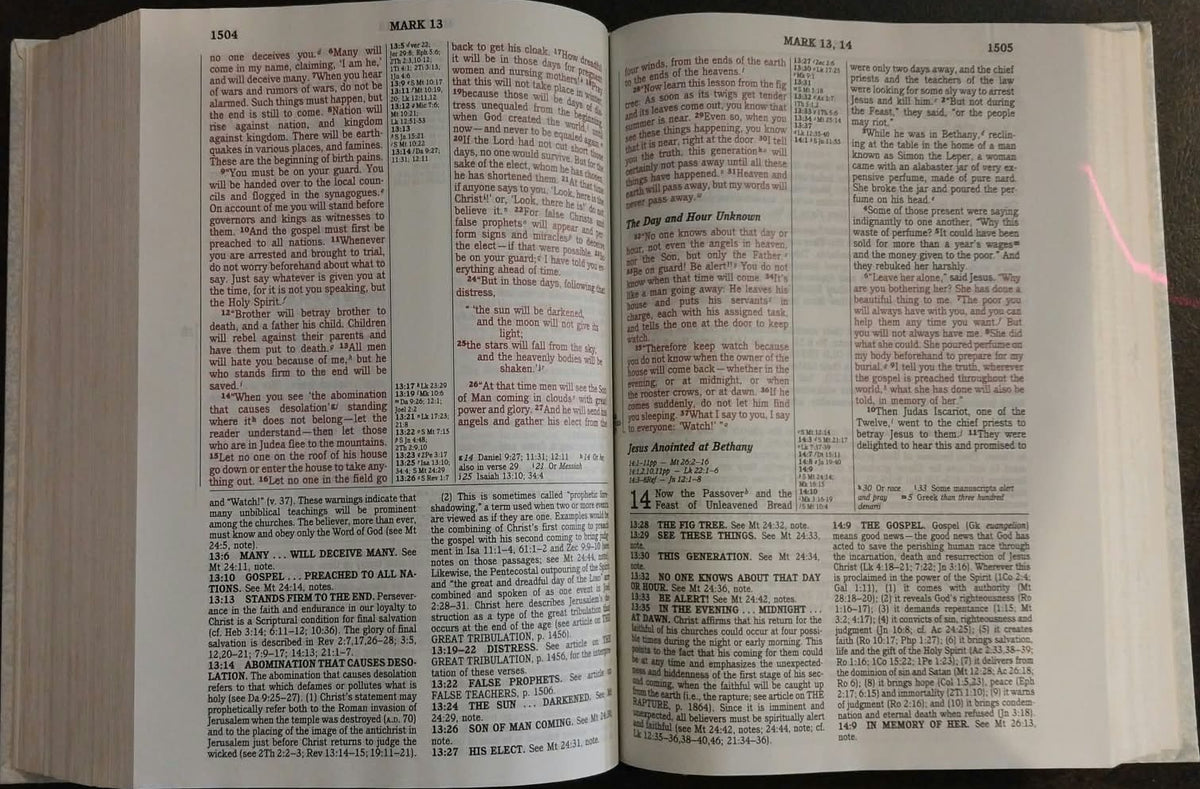 NIV Full Life Study Bible